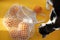 Oranges lie in string bag on bright yellow background and hard sunshine with black and white tuxedo cat. The concept of