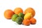 Oranges, limes, tangerines and lemon, on white