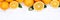 Oranges orange fruits copyspace banner top view