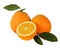 Oranges and sections on white background