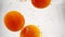 Oranges submerged in the water with bubbles. Fruit citrus in slow motion on isolated white background.