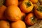 Oranges, tangerines and persimmons. Orange fruits close-up.