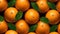 Oranges with water drops leaves background