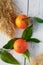 Oranges on white table with green leafs