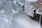 Orangeville Creek Cascade Framed by Ice