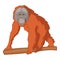 Orangutan icon, cartoon style