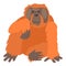 Orangutan icon, cartoon style