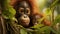 Orangutan infant clinging to its mother