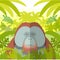 Orangutan on the Jungle Background