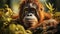 Orangutan in the jungle close-up. Generative AI.