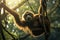 Orangutan in the jungle of Sumatra island, Indonesia, Gibbon hanging from a tree in the jungle of Costa Rica, AI Generated