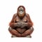 An orangutan meditates in a lotus position, does yoga, close-up isolated