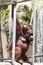 Orangutan Mother and Baby On Ropes