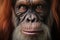 Orangutan portrait. Generate Ai