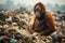 An orangutan sits in a garbage dump. Ecology and environmental pollution. generative AI
