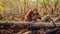 Orangutan sits on tree trunk, devastating impact of deforestation. Generative AI