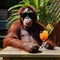 An orangutan in sunglasses with a glass of juice sits at a table, an orangutan on vacation close-up,