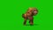 Orangutans Walkcycle Green Screen Monkey Animals 3D Rendering Animation