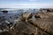 Orbicular Granite Nature Sanctuary