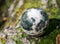 Orbicular ocean jasper sphere with crystallized vugs from Madagascar on moss, bryophyta and bark, rhytidome in forest