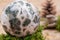 Orbicular ocean jasper sphere with crystallized vugs from Madagascar on moss, bryophyta and cork