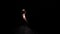 Orbital shot of a ballerina in the image of a black swan gracefully moving on a black studio background with backlight