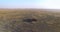Orbiting shot of flock of sheep in Ukrainian steppe