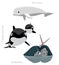 Orca Beluga Narwhal Cartoon Vector Illustration