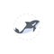 Orca killer whale clipart. Orca killer whale isolated flat icon