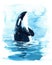 Orca Killer Whale in the water Watercolor Illustration hand painted