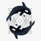 Orca vector illustration. Marine mammal. Killer whale with abstract geometric element.