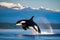 Orca whale jumping out of the water with snow-capped mountains in the background