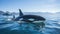Orcas Attack the Ship: Thrilling Encounter with Killer Whales