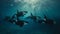 Orcas killer whales underwater in dark sea.