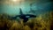 Orcas underwater in the Sea