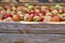 Orchard, apple harvest. Boxes with harvested apples