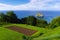 Orchard in Bermeo coast near the sea with Aketxe island view