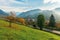 Orchard on a grassy hill in the rural valley