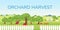 Orchard harvest banner flat vector template