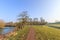 Orchard Kasteel Waardenburg in the province of Gelderland with standard trees