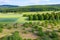 Orchard meadow and forest landscape in the Taunus / Germany from above