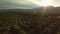 Orchards Aerial