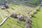 Orchards and hedges from above