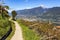 Orchards in the mountains at Merano, Italy.