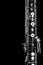 Orchestra musical instruments - oboe