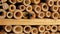 Orchid bee closes its brood cavity in an insect hotel