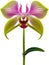 Orchid clipart. A cute Orchid flower icon. AI-Generated.