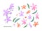 Orchid decorative flowers set - a sprig Rhynchosophrocattleya, flowers and leaves on a white background, flat illustration. Set