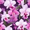 Orchid Elegance Floral Art