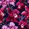 Orchid Elegance Floral Seamless Pattern